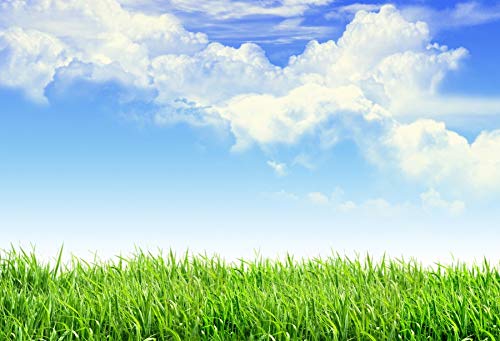 Leyiyi 5x3ft Spring Grassland Photography Background Gardening Plant Meadow Sky Cloud Light Spot North Prairie Backdrop Nature View Outdoor Activity Kids Birthday Photo Portrait Vinyl Studio Prop - Image 4