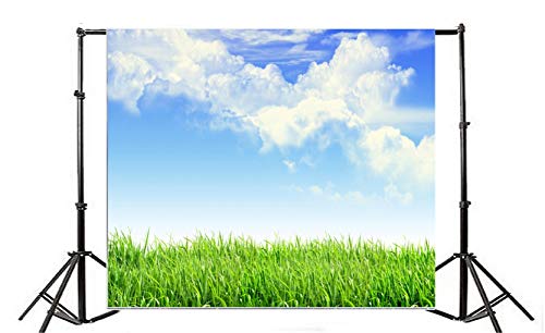 Leyiyi 5x3ft Spring Grassland Photography Background Gardening Plant Meadow Sky Cloud Light Spot North Prairie Backdrop Nature View Outdoor Activity Kids Birthday Photo Portrait Vinyl Studio Prop - Image 2