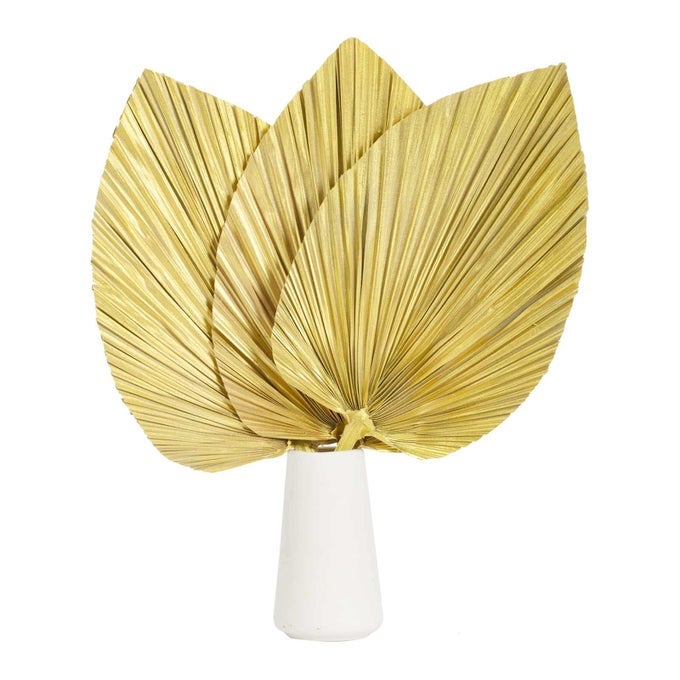Large Dried Palm Leaves177 Dried Palms Spear Plant Fans for Home Office Boho Decor Tropical Wedding Decor Party Table Decoration Dried Wedding Flowers and Leaf Dcor Gold3 Pcs
