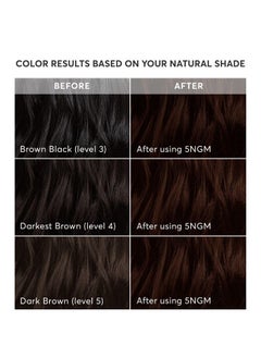 Madison Reed Radiant Hair Color Kit, Dark Cinnamon Brown for 100% Gray Coverage, Ammonia-Free, 5NGM Catania Brown, Permanent Hair Dye, Pack of 1  - Image 2