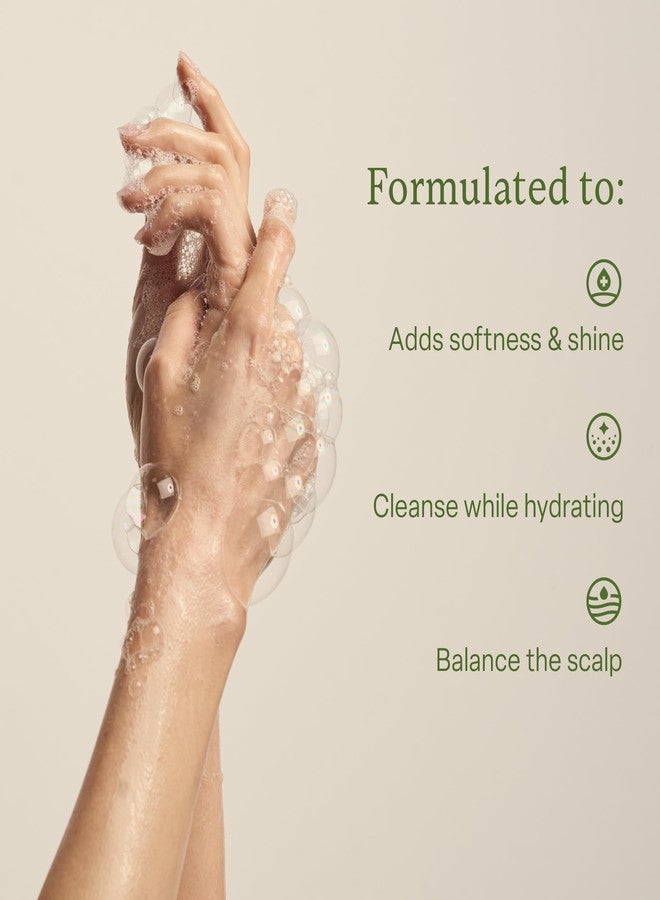 ديفي شامبو ديفي المرطب للنساء والرجال - ينظف فروة الرأس بلطف ويزيل التراكمات - يرطب الشعر ويقويه ويغذيه - نباتي، لم يُختبر على الحيوانات، خالٍ من البارابين، 12 أونصة سائلة - Image 3