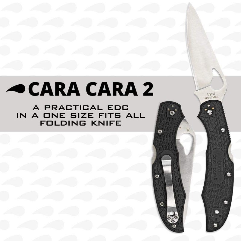 Spyderco سكين سبايدركو بيرد كار كار 2 خفيف الوزن بشفرة من الفولاذ المقاوم للصدأ بطول 3.75 بوصة ومقبض FRN غير قابل للانزلاق باللون الأسود - بلاين إيدج - BY03PBK2 - Image 2