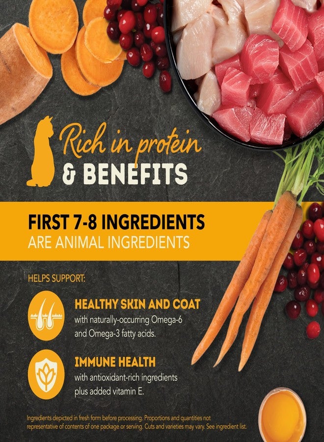 (أسنى) مجموعة متنوعة من طعام القطط الرطب ACANA Chunks in Broth: وصفات السلمون والدجاج + وصفات الدجاج والتونة، علب 3 أونصة (12 علبة، 6 علب من كل نوع) - Image 3