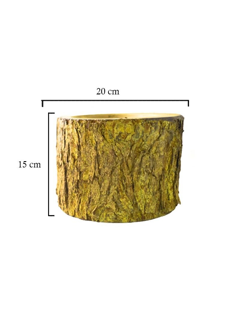 Egypt Antiques - Natural handmade wood veneer planter pot from the heart of the tree - Image 1