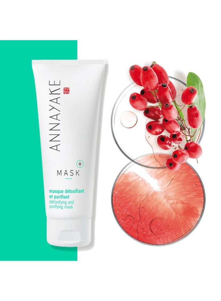 Annayake Mask+ Detoxifying And Purifying Mask 75ml - Image 1