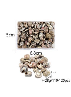 Natural Shell Conch DIY Jewelry Scenery Set Xiao Ping Snail - pzsku/Z1DC498845F4E6B07EE05Z/45/_/1735537880/e0217171-31e2-493c-aba8-553ab2658286