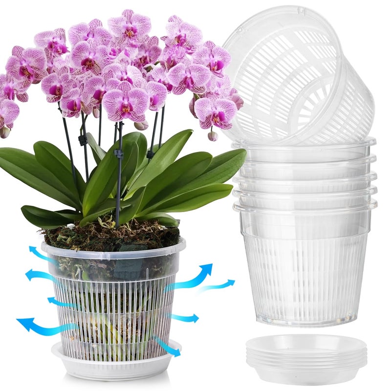T4U Orchid Pot 6 Pack 75 Inch Orchid Pots with Holes and Saucers Clear Orchid Pots for Repotting Plastic Flower Plant Pot for Indoor Outdoor Plants Large Orchids Planter for Root Health - Image 2