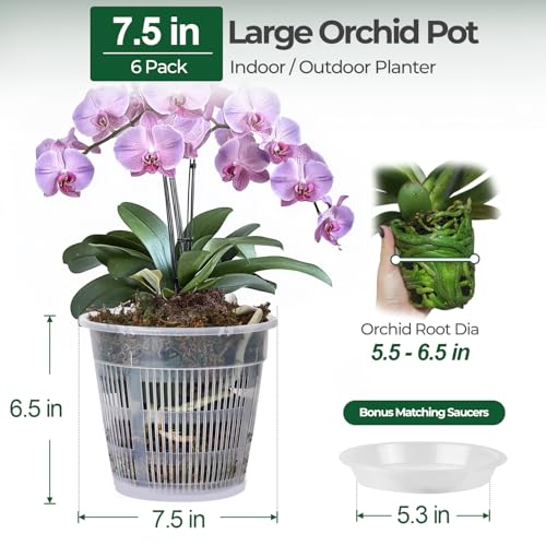T4U Orchid Pot 6 Pack 75 Inch Orchid Pots with Holes and Saucers Clear Orchid Pots for Repotting Plastic Flower Plant Pot for Indoor Outdoor Plants Large Orchids Planter for Root Health - Image 3