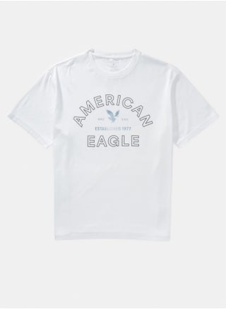 AE Logo Graphic T-Shirt - pzsku/Z1DC80548C304C7A848D9Z/45/1748948357/2f4e0fe2-dbbf-4e21-93eb-8cc7a55958f9