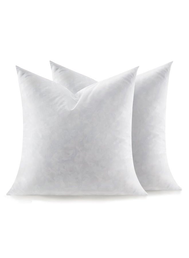 Swandream Feather Throw Pillow Inserts Set of 2, Soft Fluffy Square 24 x 24 Inches Decorative Pillow Insert, Feather and Down Filled Euro Pillows - Image 1