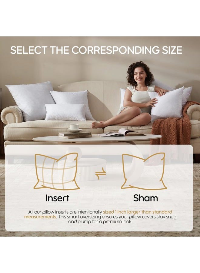 Swandream Feather Throw Pillow Inserts Set of 2, Soft Fluffy Square 24 x 24 Inches Decorative Pillow Insert, Feather and Down Filled Euro Pillows - Image 3