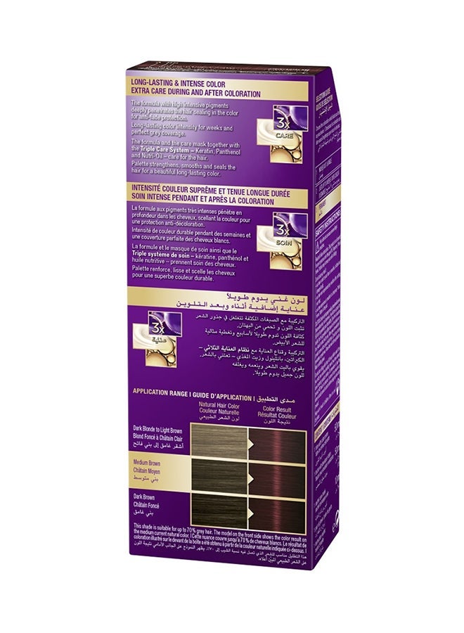 Palette Intensive Permanent Color Cream 4-88, Intensive Dark Red 4-88, Intensive Dark Red 50ml , 50ml , & 10ml - Image 3