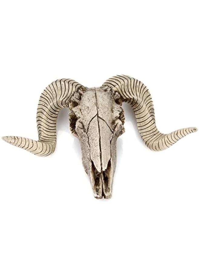 MBVBN Skull Sheep Head Wall Sculpture,Resin Ram Skull Wall Decorations,Ram Sheep Skull Decor Animal Skull Skeleton Head Sculpture Wall Hanging Art Collectible Decor (A) - Image 1