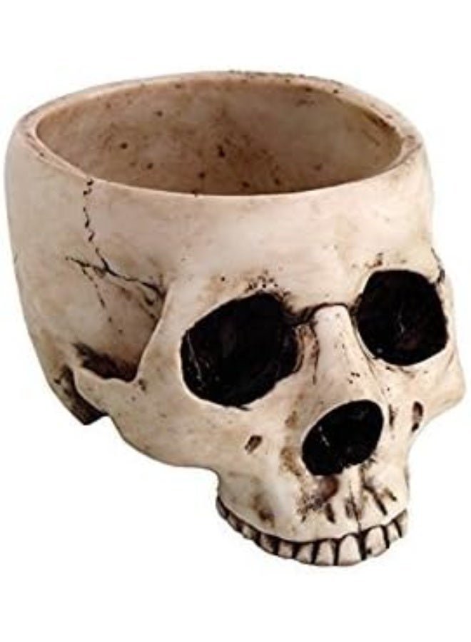 Skeleton Skull Medium Kitchen Bowl Figurine