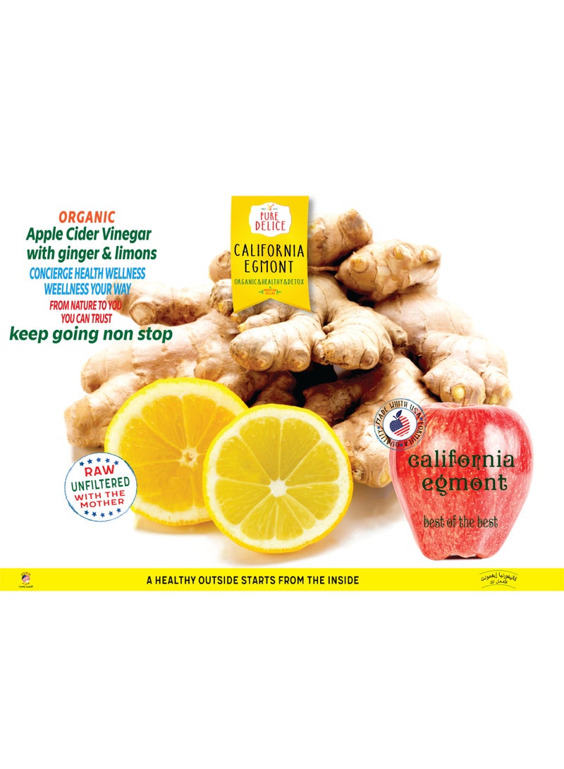 كاليفورنيا إيغمونت مجموعة خل التفاح العضوي 100% كاليفورنيا إيغمونت | خل التفاح الطبيعي 100% | خام،ونقى وغير مفلتر مع الأم | ACV |عبوة من 2قطع| طاقة أكبر، بشرة أكثر نقاءً و (30%خصم) - Image 4