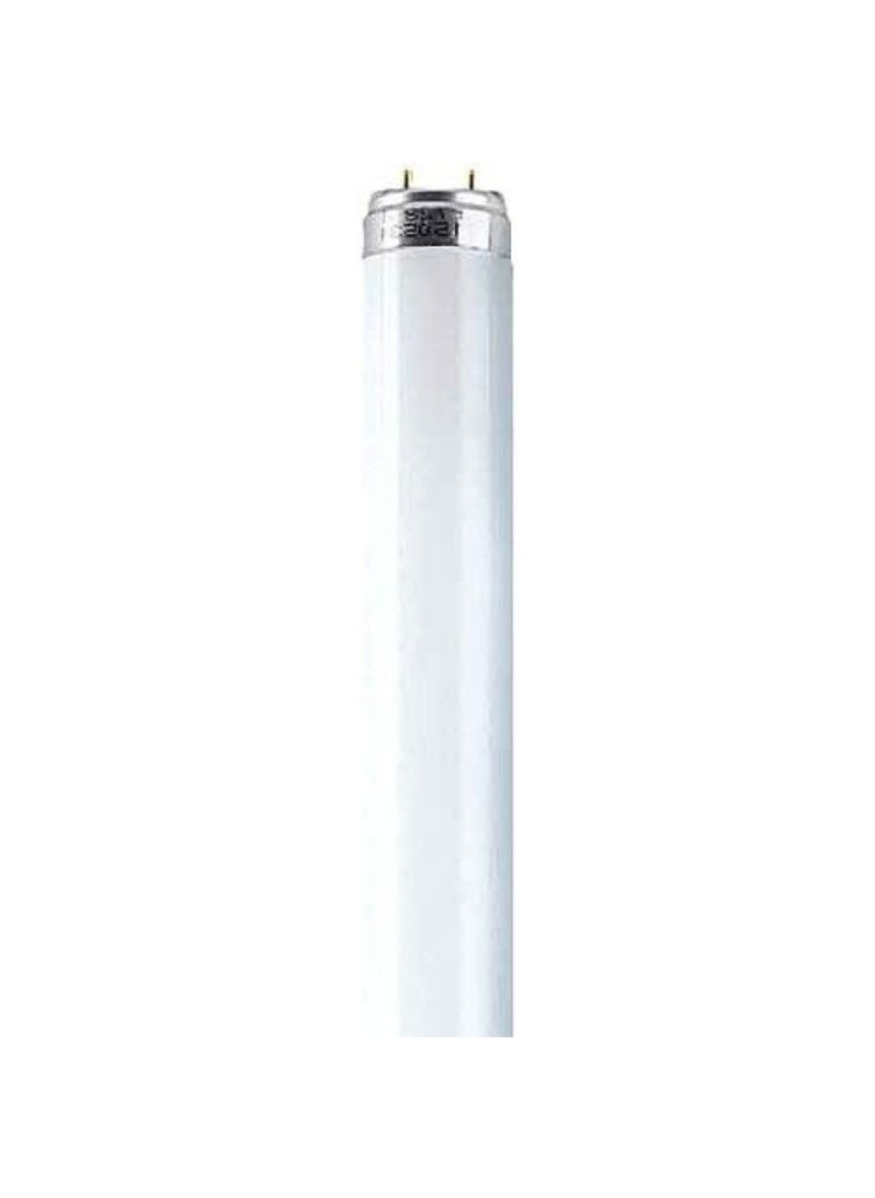 Osram - Osram/ Ledvance Lumilux Fluorescent Tube Light T8 L 58 Watts with G13 Base 2700K Warm White 1.5 m- Pack of 5 - Image 1