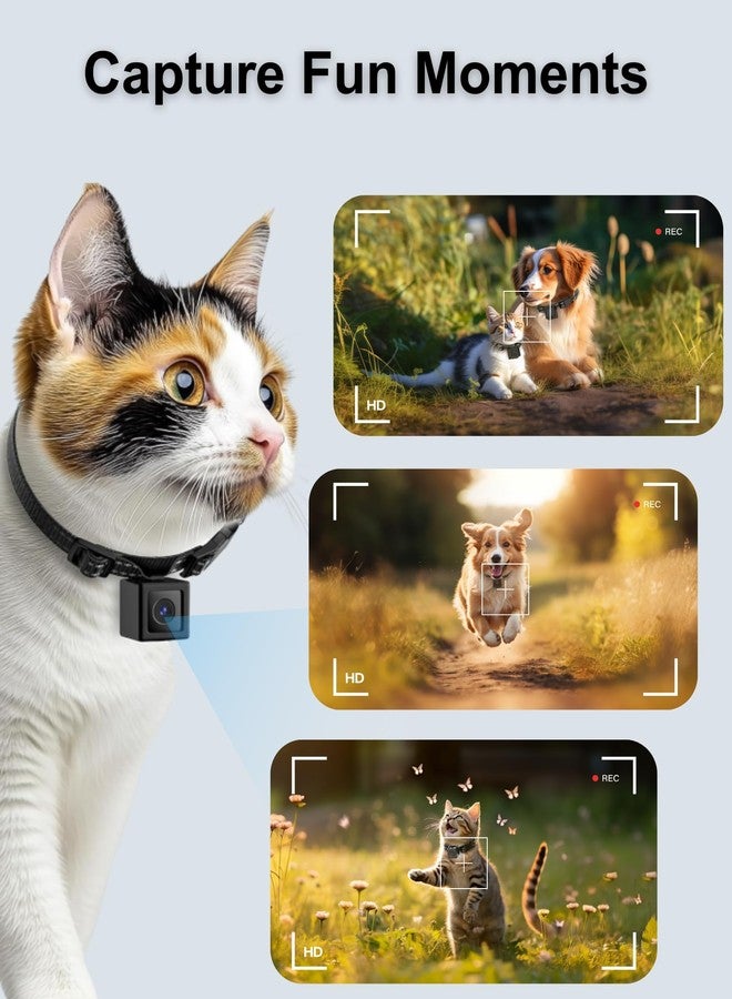 طوق كاميرا للقطط من زوماراكام، تسجيل فيديو عالي الدقة 1080 بكسل، كاميرا POV للحيوانات الأليفة، لا حاجة لشبكة واي فاي أو تطبيق، كاميرات حركة صغيرة لتتبع القطط/الكلاب (لا تتضمن بطاقة ذاكرة مايكرو إس دي). - Image 3