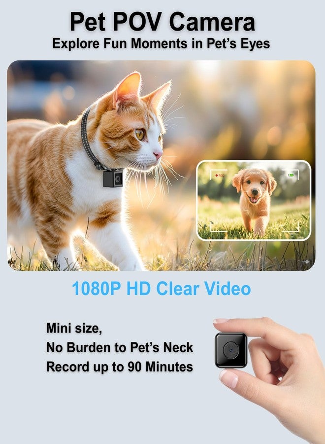 طوق كاميرا للقطط من زوماراكام، تسجيل فيديو عالي الدقة 1080 بكسل، كاميرا POV للحيوانات الأليفة، لا حاجة لشبكة واي فاي أو تطبيق، كاميرات حركة صغيرة لتتبع القطط/الكلاب (لا تتضمن بطاقة ذاكرة مايكرو إس دي). - Image 2