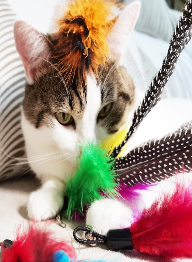 TIENAILING Cat Feather Toys Refills, 8 Pieces Natural Da Bird Feathers Refill, Cat Wand Replacement Feather for Indoor Cats (D) - Image 5