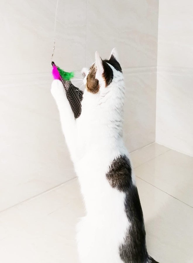 TIENAILING Cat Feather Toys Refills, 8 Pieces Natural Da Bird Feathers Refill, Cat Wand Replacement Feather for Indoor Cats (D) - Image 4