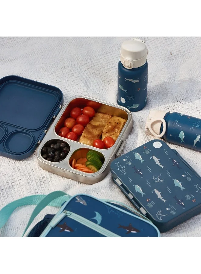 Little IA  Open Water Stainless Lunch Box for Men | Best Price UAE