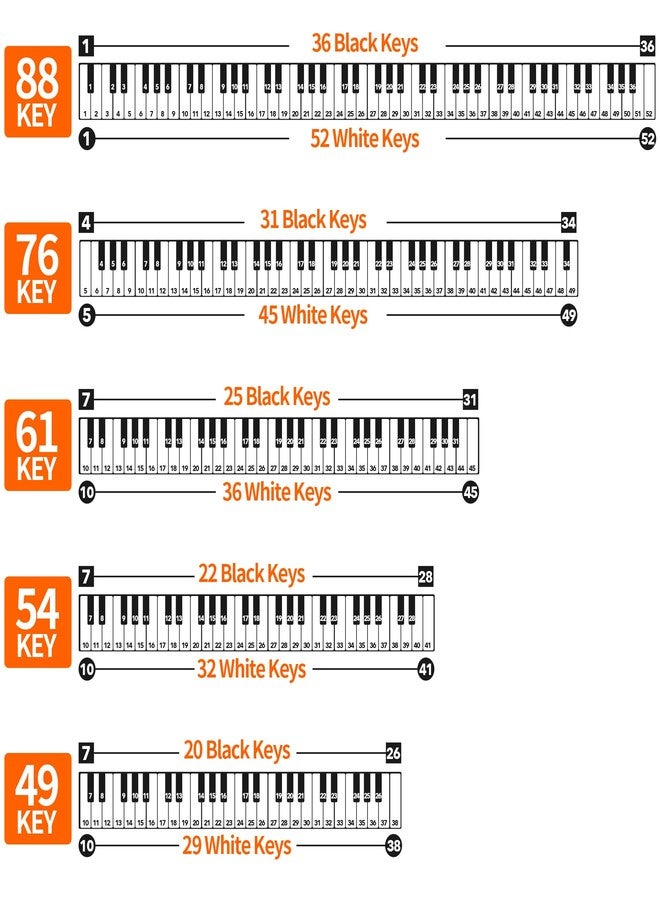 runzoos 2 Sheets Piano Keyboard Stickers for 88/76/61/54/49 Keys, Transparent and Removable Piano Stickers for Beginners and Kids, Keyboard Letters Labels Notes Guide (Black) - Image 3