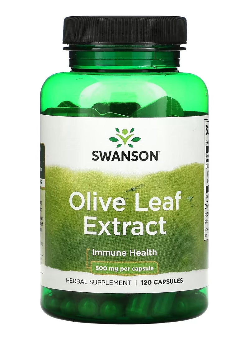 Swanson, Olive Leaf Extract, 500 mg, 120 Capsules