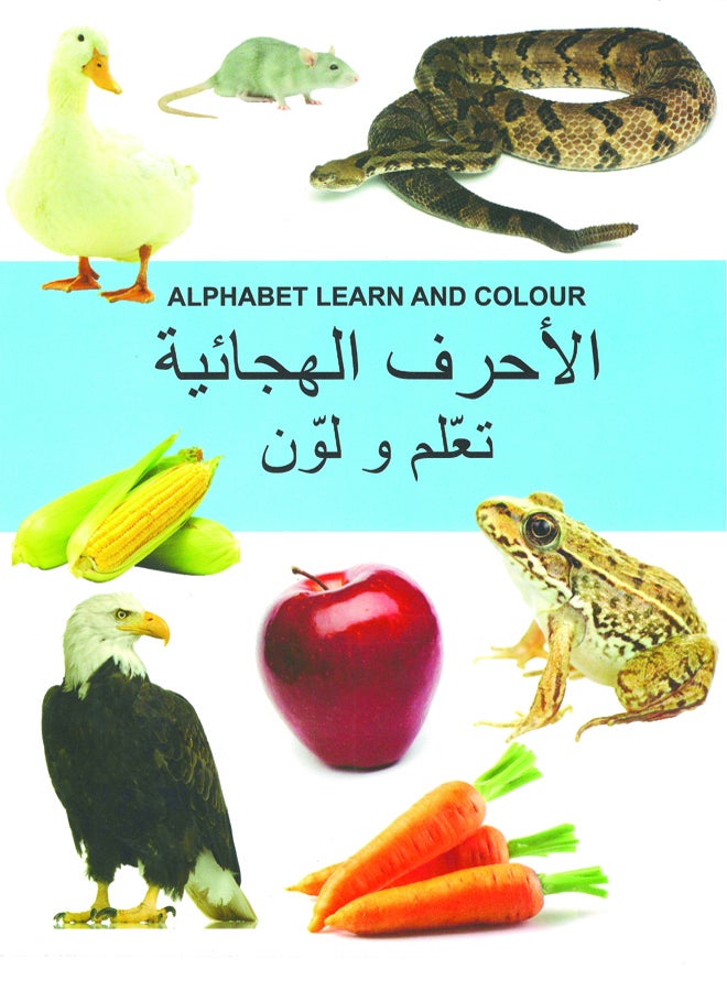 Alphabet Learn And Colour - Image 1