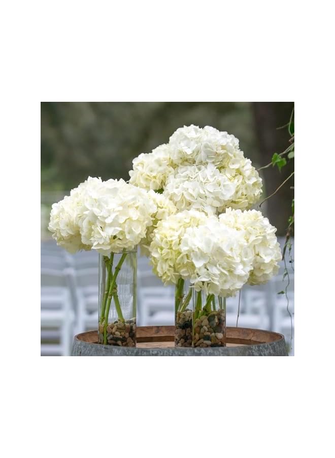 The Bros 9PCS-Hurricane Candle Holders Cylinder Flower Vases, Pillar Votives Floating Candles Holder, Clear Glass Vase for Wedding Party Decoration - Image 3