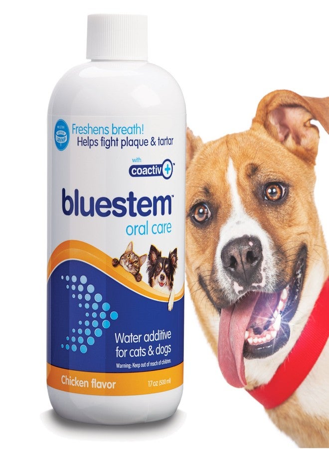 bluestem Freshens Dog and Cat Breath - Safe and Effective Dental Water Additive - 17 Ounce - Chicken - Image 1