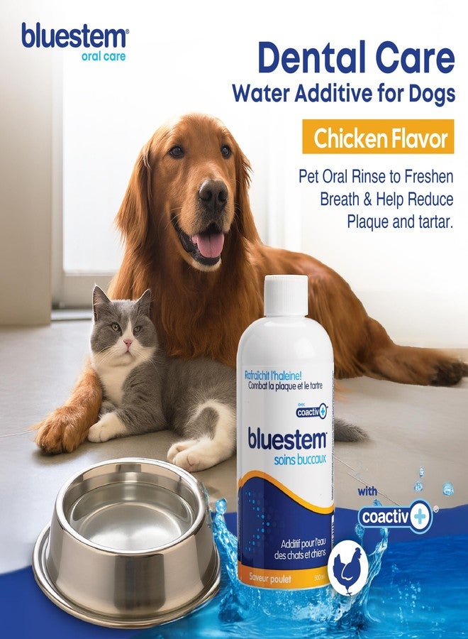 bluestem Freshens Dog and Cat Breath - Safe and Effective Dental Water Additive - 17 Ounce - Chicken - Image 2