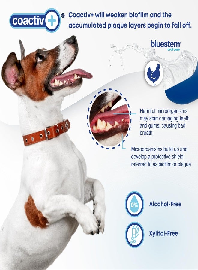 bluestem Freshens Dog and Cat Breath - Safe and Effective Dental Water Additive - 17 Ounce - Chicken - Image 4
