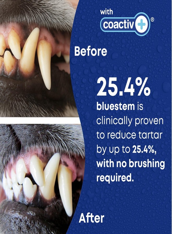 bluestem Freshens Dog and Cat Breath - Safe and Effective Dental Water Additive - 17 Ounce - Chicken - Image 3