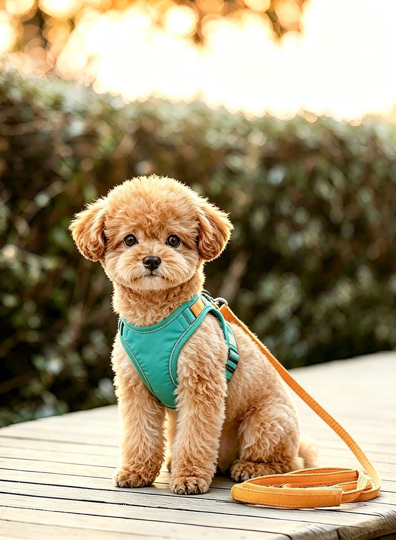 Cat harness and leash set, adjustable green and orange cat leash medium size anti-escape vest, safe pet harness. Easy to control small and large kittens, suitable for small dogs and rabbits. - Image 5