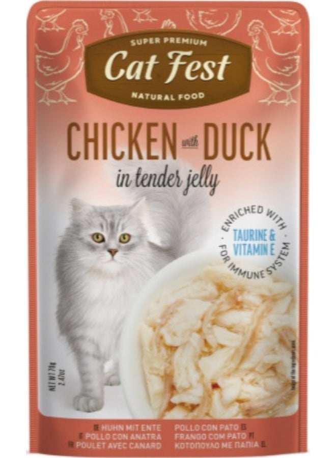 Cat Fest Chicken With Duck In Tender Jelly For Cats -4 pouch, each pouch size 70g - Image 2
