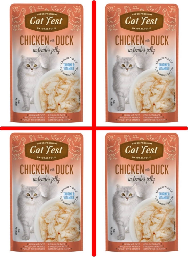 Cat Fest Chicken With Duck In Tender Jelly For Cats -4 pouch, each pouch size 70g - Image 1