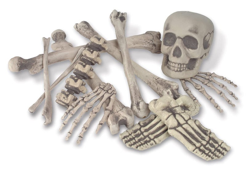 Beistle Skeleton Decoration Bone Dcor Beistle 12 Piece Plastic Novelty Skeleton Bones and Skull Horror Haunted House Prop Decorations Spooky Halloween Party Supplies 616 Off WhiteGray