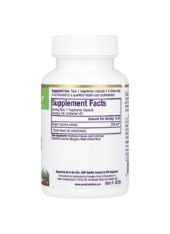 Paradise Herbs Paradise Herbs, Ginger, 250 mg, 60 Vegetarian Capsules  - Image 2