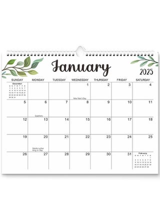 2025 Calendar, 18 Months Wall Calendar Jan 2025 - Jun 2026, Twin-Wire Binding, Premium Paper, Suitable for Keeping Important Dates, Perfect for Organizing - pzsku/Z1DDDDFC7B9C1DC806EF8Z/45/_/1733369070/03b17636-8822-42af-8582-3db06198070b