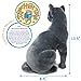 TigerHart Rae The Russian Blue Cat 12 Inch Grey Stuffed Animal Plush Gray Cat - Image 4