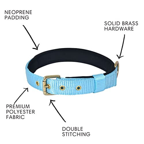 FORFURS Pin Buckle Dog Collar Neck Belt For Cats And Puppy-Extra Small, Cocktail Blue,33 cm,W_1.3 cm - Image 4