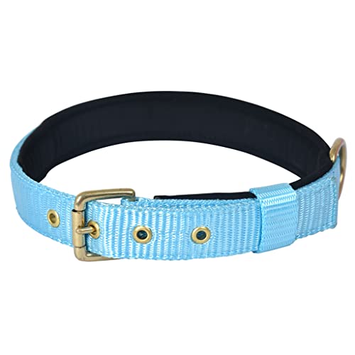 FORFURS Pin Buckle Dog Collar Neck Belt For Cats And Puppy-Extra Small, Cocktail Blue,33 cm,W_1.3 cm - Image 1