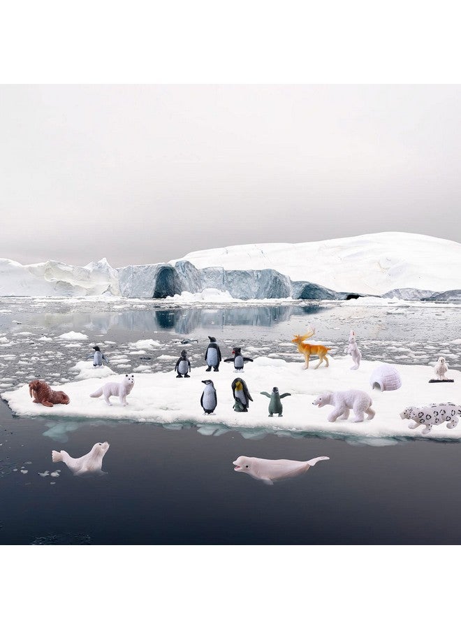 JOKFEICE Small Polar Animals Figurines, 25pcs Realistic Plastic Penguin Polar Bear Action Model for Early Educational, Birthday Cupcake Topper for Kids - Image 5