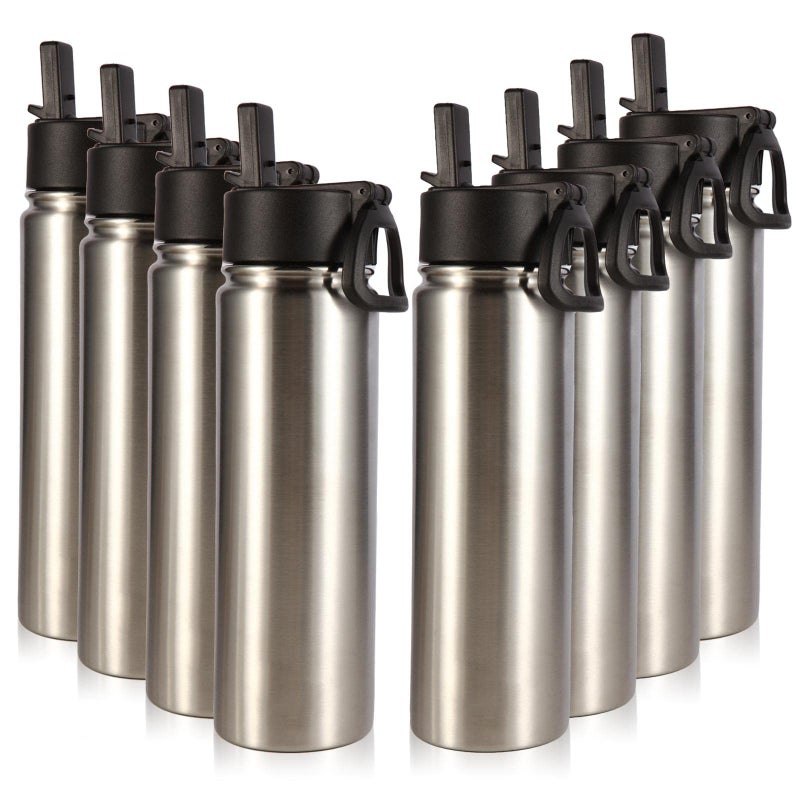 Volhoply Insulated Water Bottles with Straw Bulk 8 Pack 22 oz Stainless Steel Sports Bottle with Handle Lid Vacuum Metal Travel Water Cups with Wide Mouth Reusable Cold Water FlaskSilver8 Set