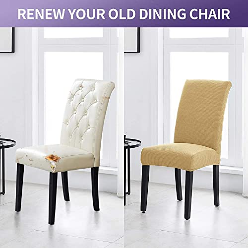 Styleys Dining Chair Cover Slipcovers, Jacquard Chair Seat Protector Removable Washable Spandex Kitchen Chair Covers for Dining Room, Set of 8, Parmesan, JLMC04 - Image 5