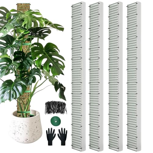 HOLANHING 60" Metal Moss Pole, D Shape Sphagnum Moss Pole, Moss Poles for Climbing Plants, Monstera, Indoor Climbing Plants (4Pcs 60") - Image 1