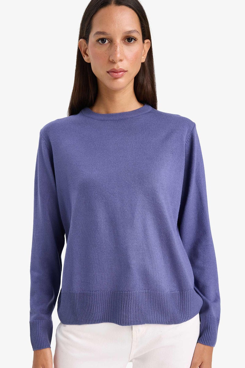 DeFacto Purple Woman Relax Fit Crew Neck Knit Pullover Casual - Image 1