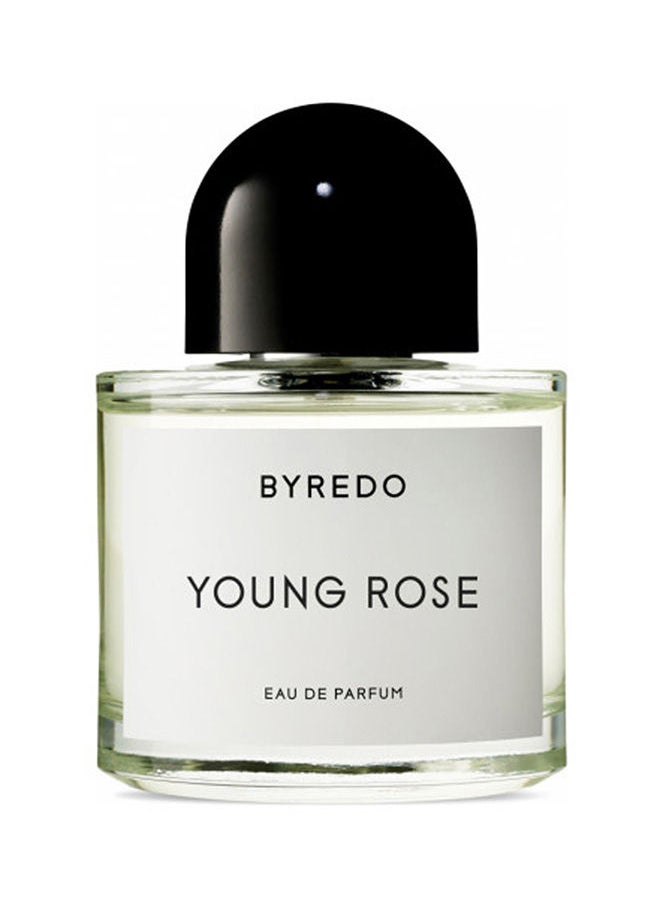 BYREDO عطر يونج روز 100 مل 