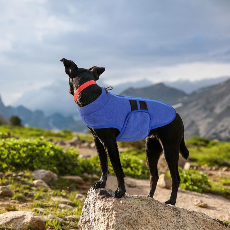 Queenmore Soft Fleece Dog Jacket, Warm Winter Coats with Leash Hole, Dachshund Sweaters for Small Dogs Cats Boy or Girl (Blue, L) - Image 5