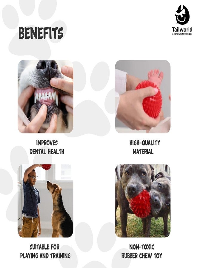 Tailworld Dog Spike Ball| Made with Thermoplastic Rubber| Suitable for Small to Medium Dogs & Puppies| Chewing, Teething, & Training Bouncy Ball Toy| Safe for Dogs| Highly Durable - Image 5